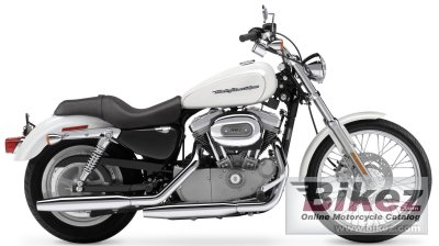 2004 harley-davidson xl 883 c sportster custom photo